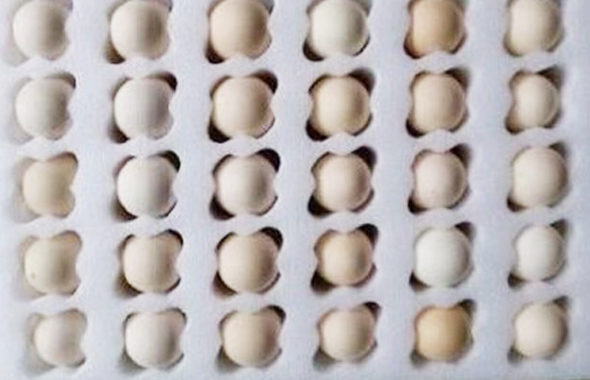 鸡蛋珍珠棉案例