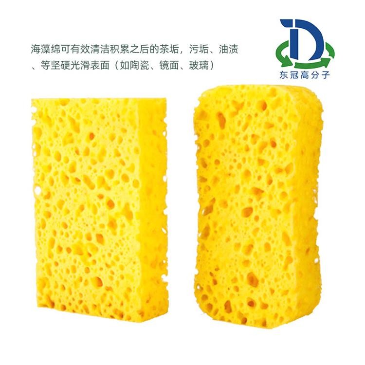 海藻海绵